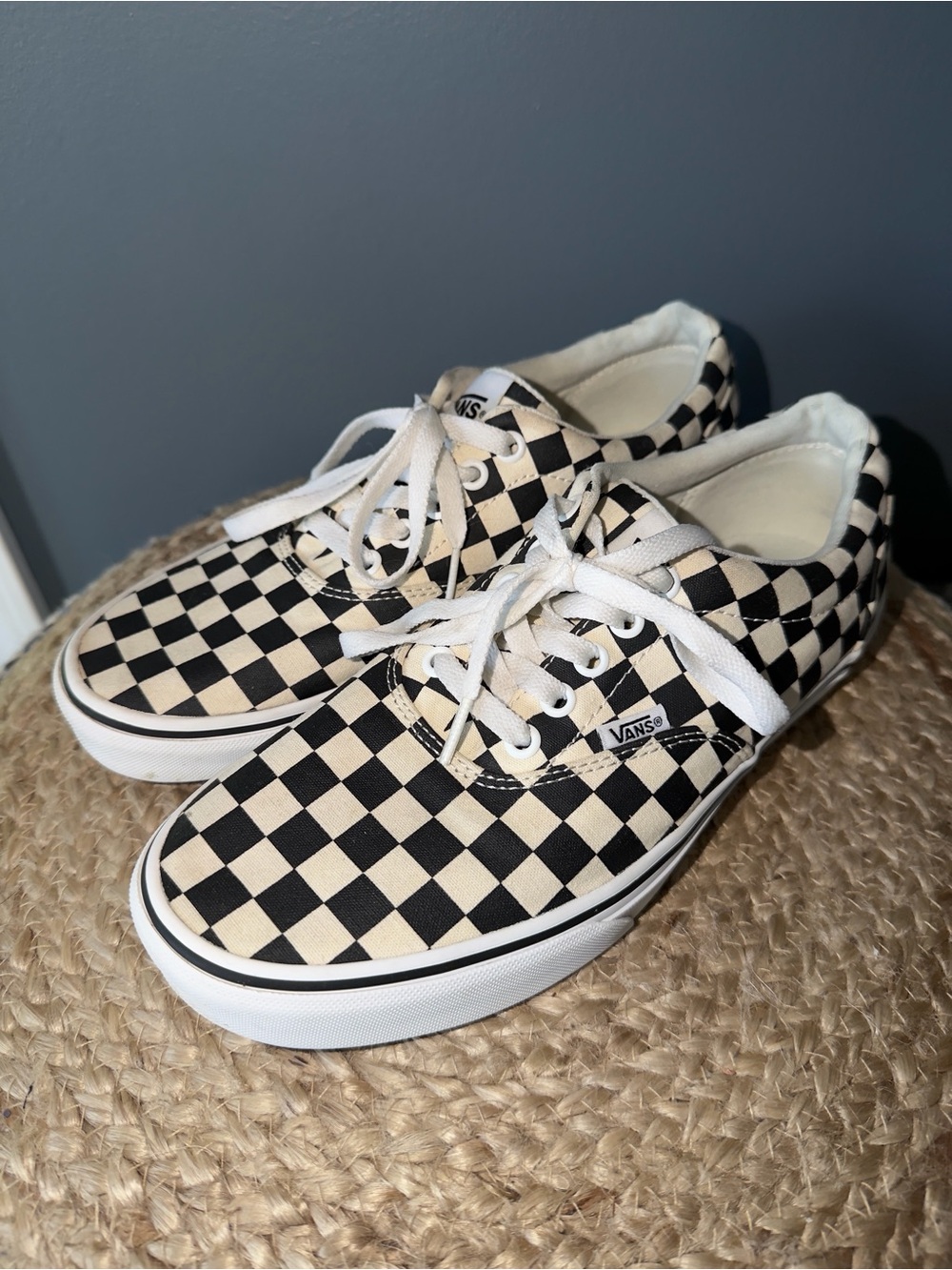 Vans Checkered Skateboard Shoes